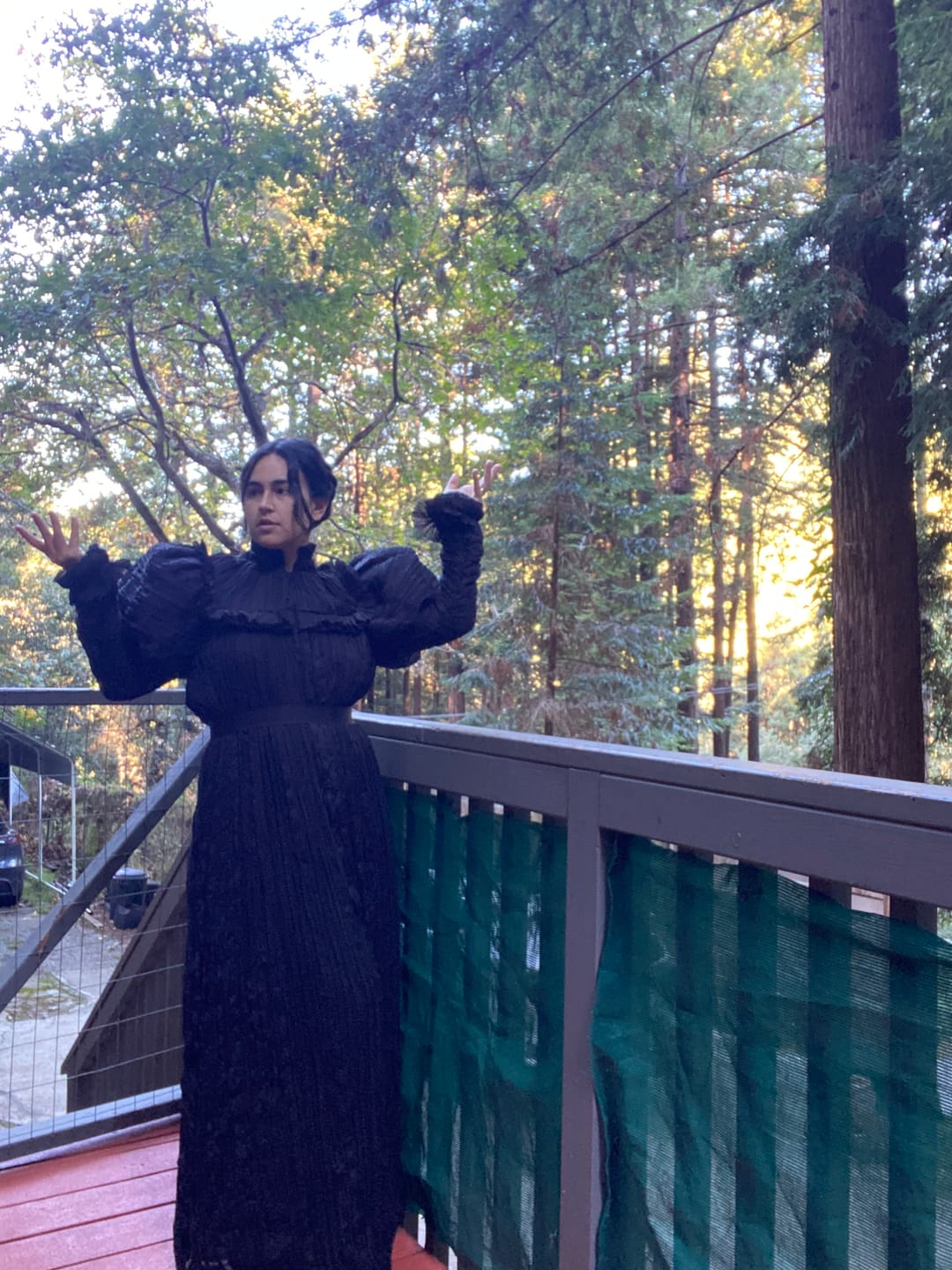 Customer photo review of Lady Mourning Victorian Gown in Black
