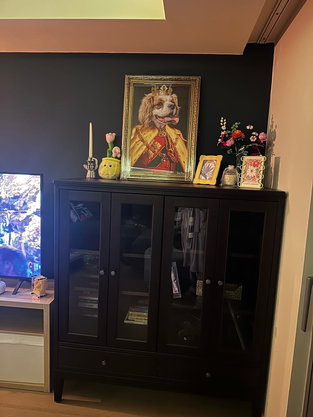 Customer photo review of The King of the Seven Kingdoms