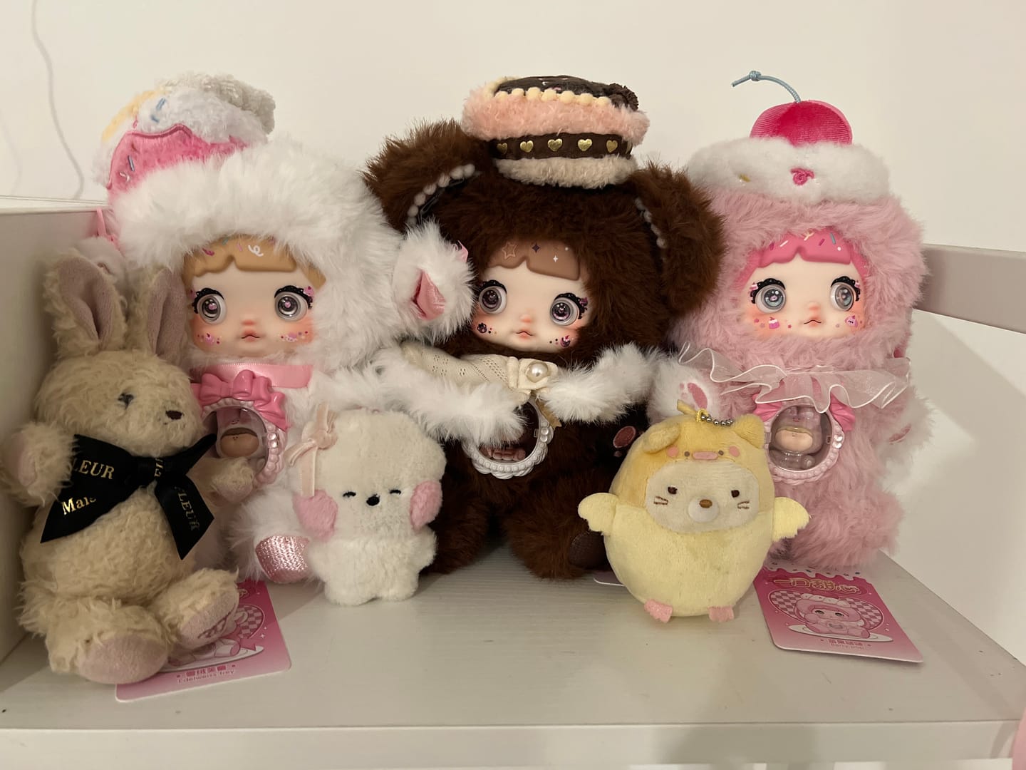 Customer photo review of Nommi × Amarilith A Bite of Sweetheart Series Plush Blind Box