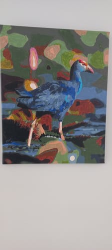 Customer photo review of Pukeko