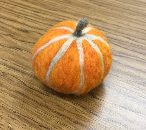 Customer photo review of Pumpkin Party Needle Felting Kit