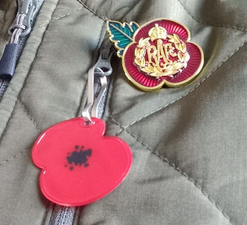Customer photo review of Poppy Pin Badge RAF Cap