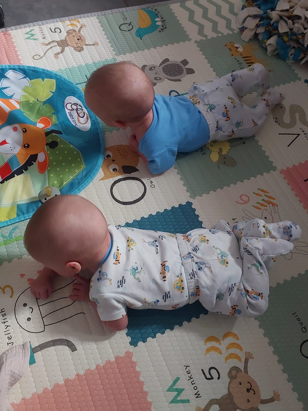 Customer photo review of Medium Safari & Alphabet Play Mat