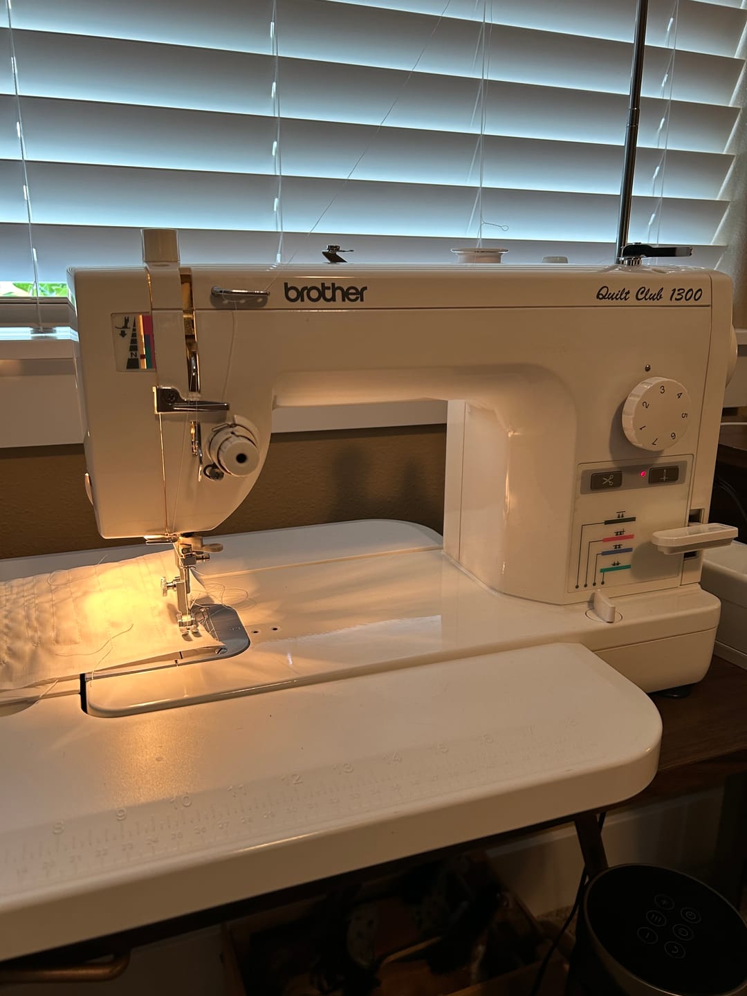 Customer photo review of General Purpose Foot, Babylock, Riccar #XA1425001