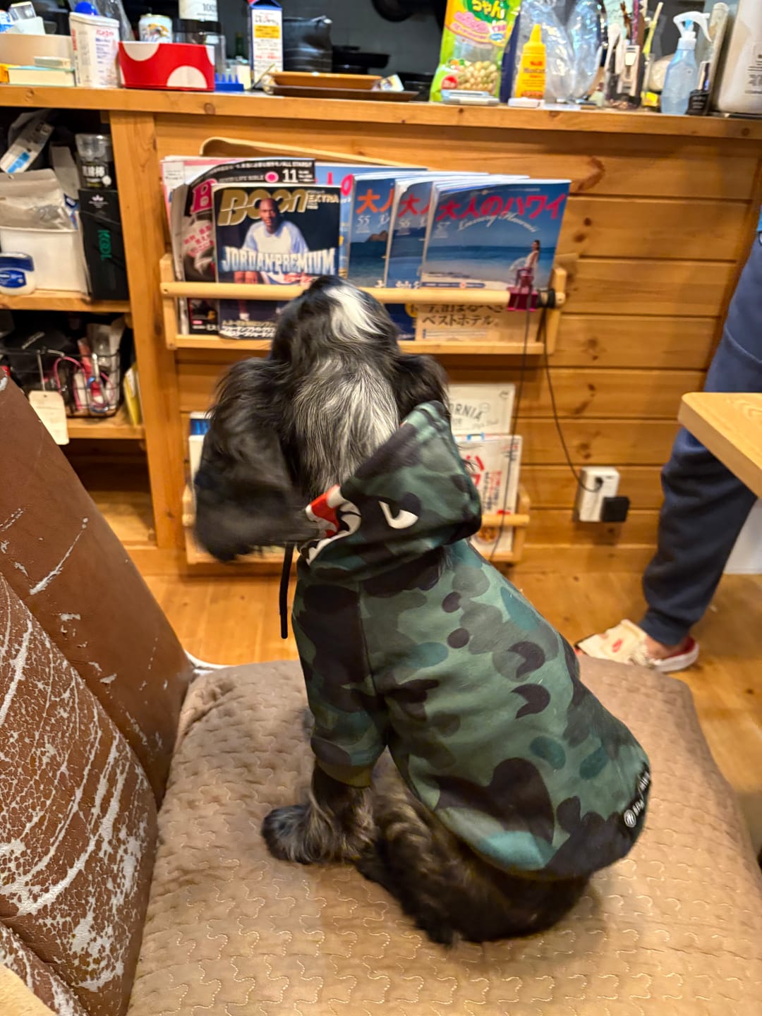 Customer photo review of Shark Monster Dog Hoodie - Green Camo