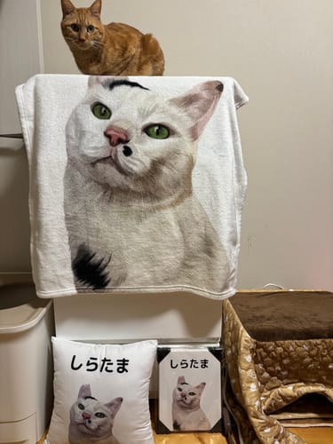 Customer photo review of Petcanva©オーダーメイド ペット似顔絵