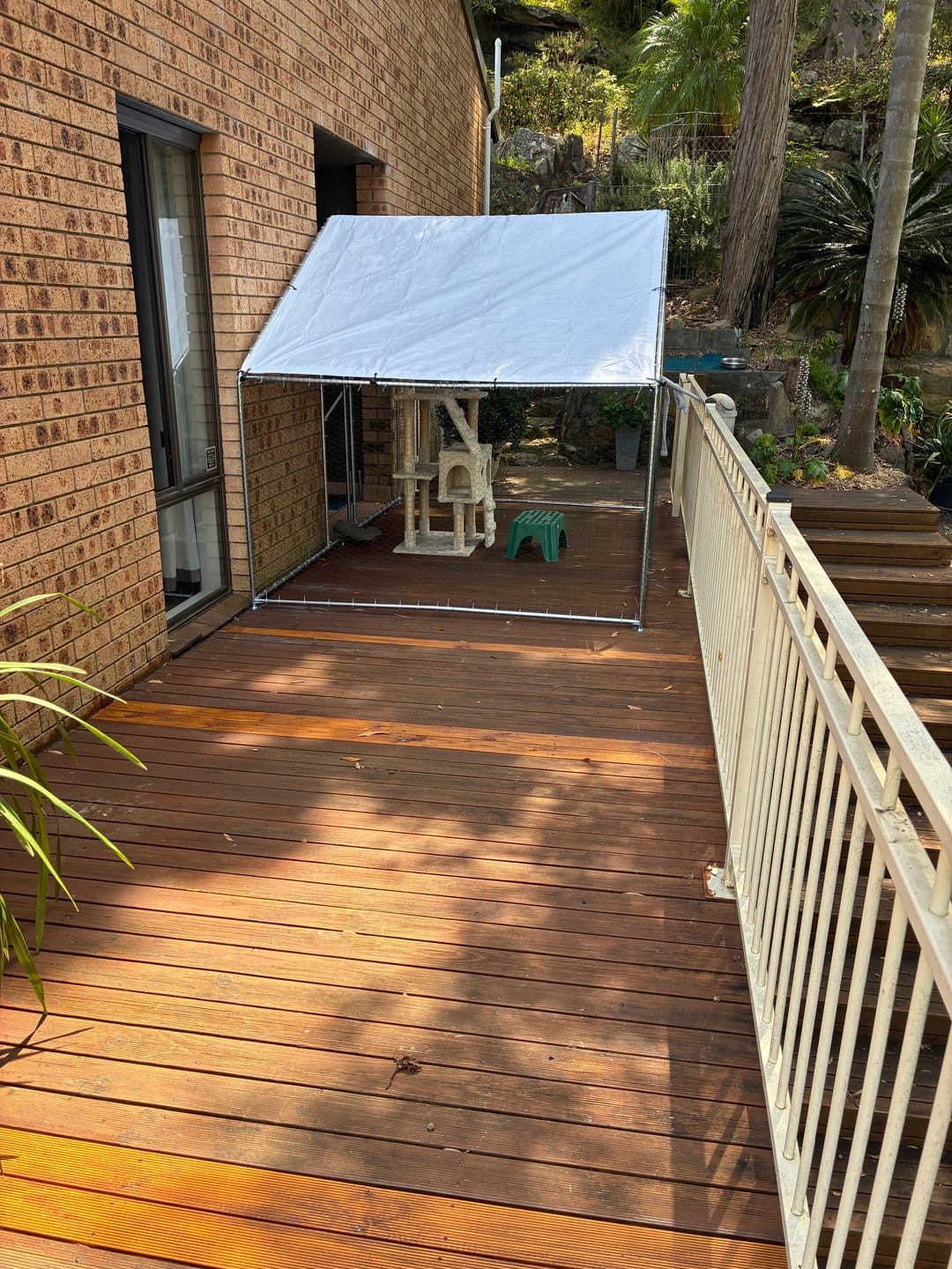 Customer photo review of Cat Cage Outdoor Enclosure 2M