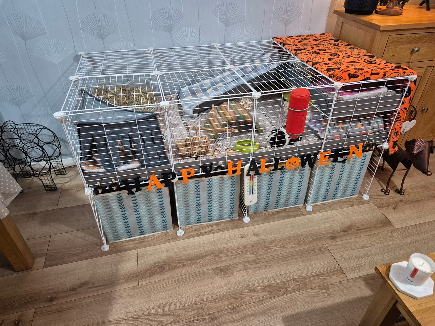 Customer photo review of 4x2 C&C Cage with Loft & Stand