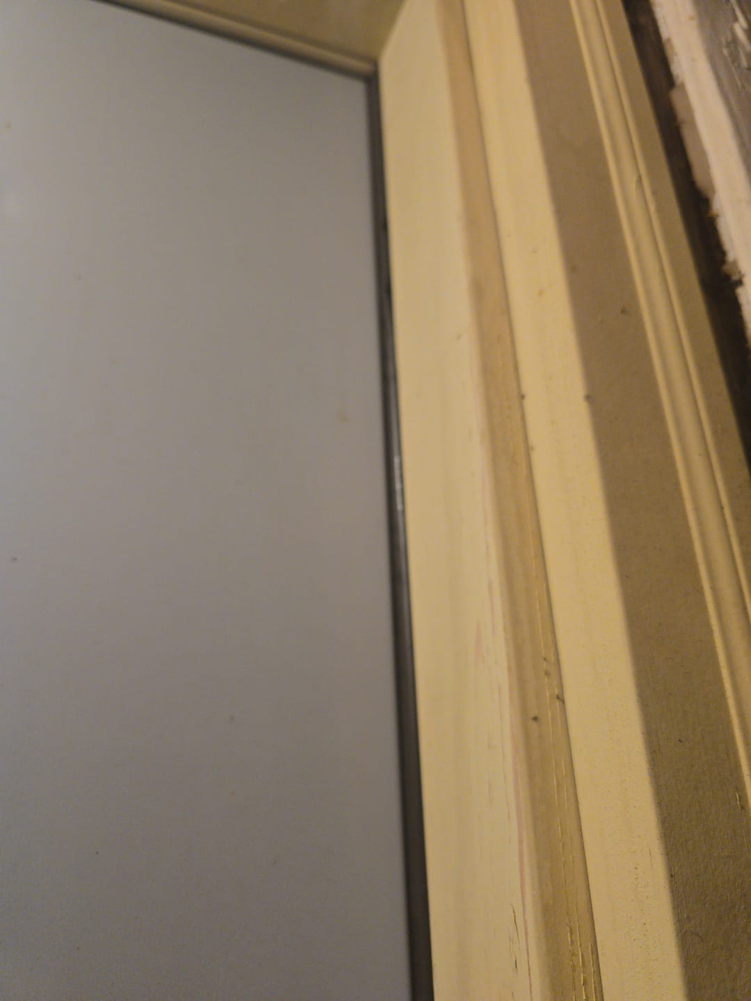 Customer photo review of MEGA Reach Foam Weatherstrip (1 piece)