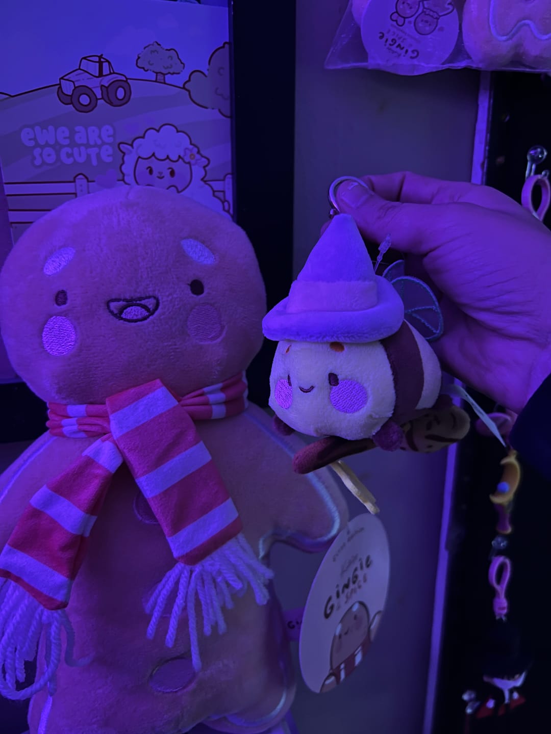 Customer photo review of PRE-ORDER | Bumblebutt & The Pastel Witch Keychain | Kawaii Bee Witch Plush on Broom | Cute Halloween Keyring