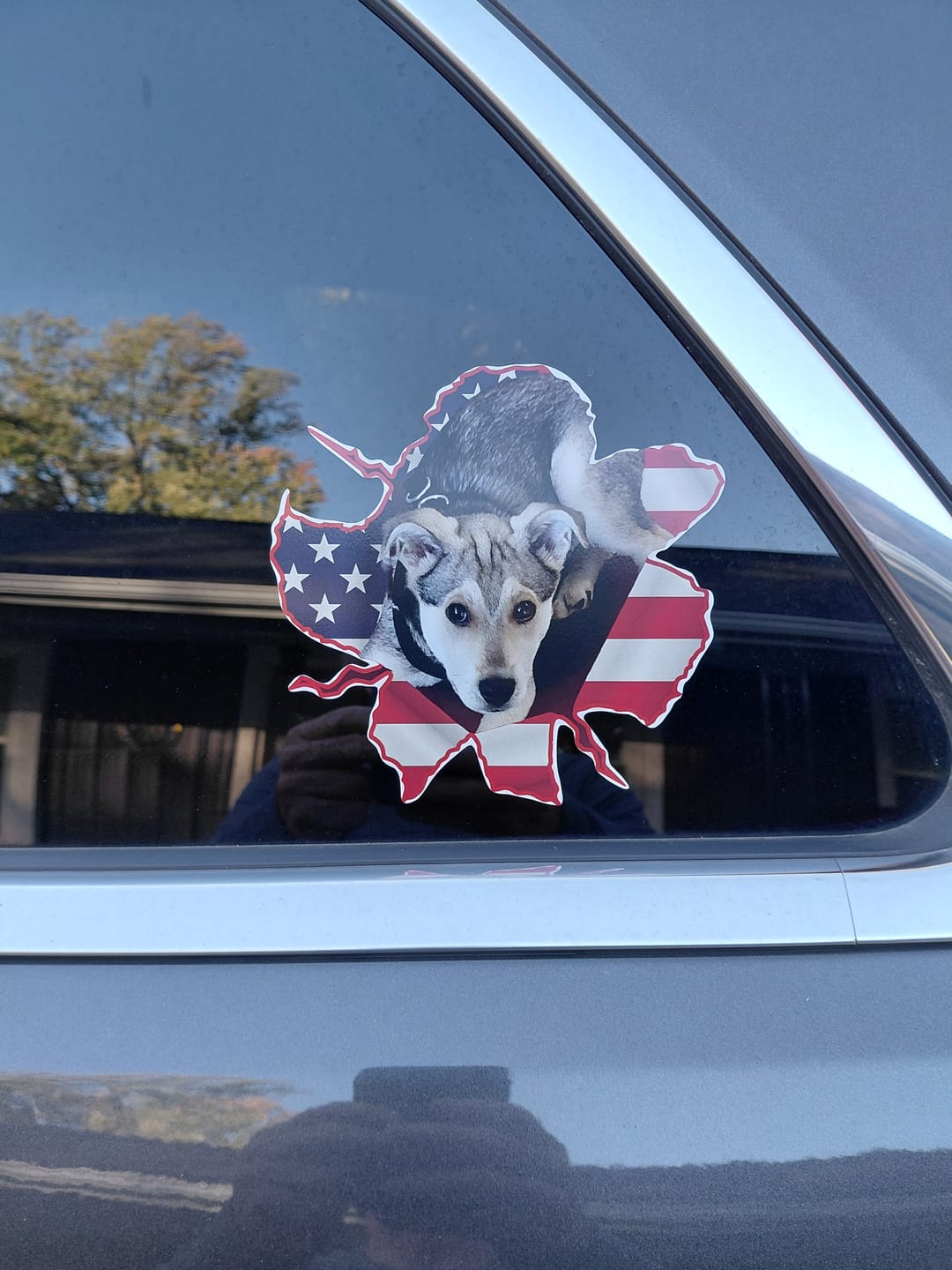 Customer photo review of Peeking photo – Personalized Car Sticker