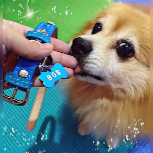 Customer photo review of Renglón adicional (Opcional)