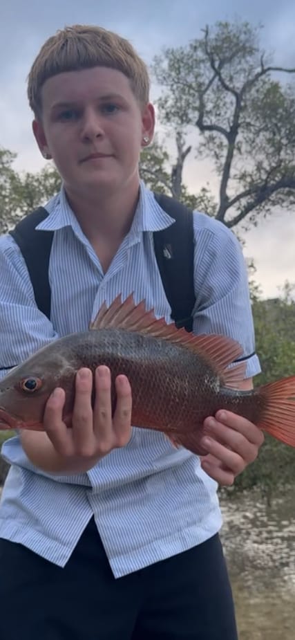 Customer photo review of DEATH SHAD