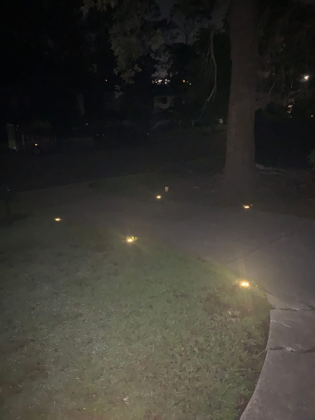 Customer photo review of SolaGarden™ LED Ground Light Pack