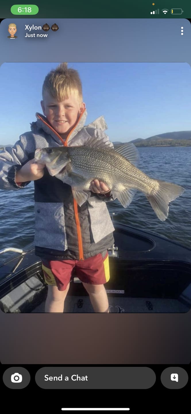Customer photo review of DEATH SHAD