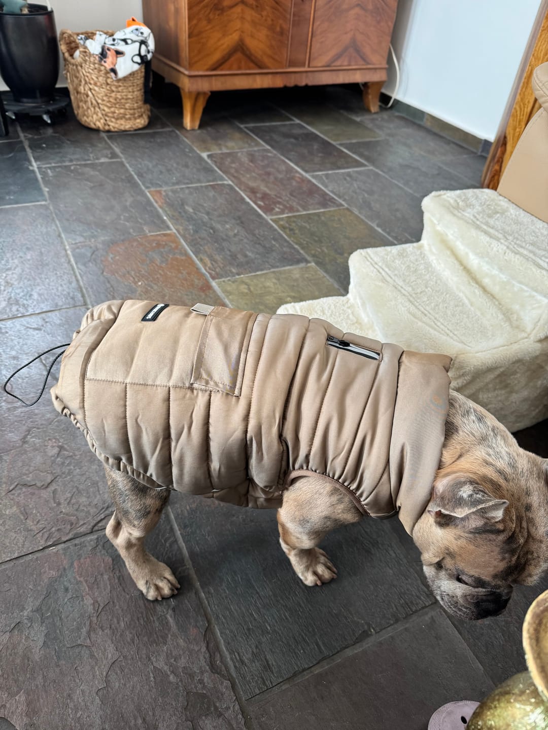 Customer photo review of WarmShield Water-Resistant Jacket - Tan