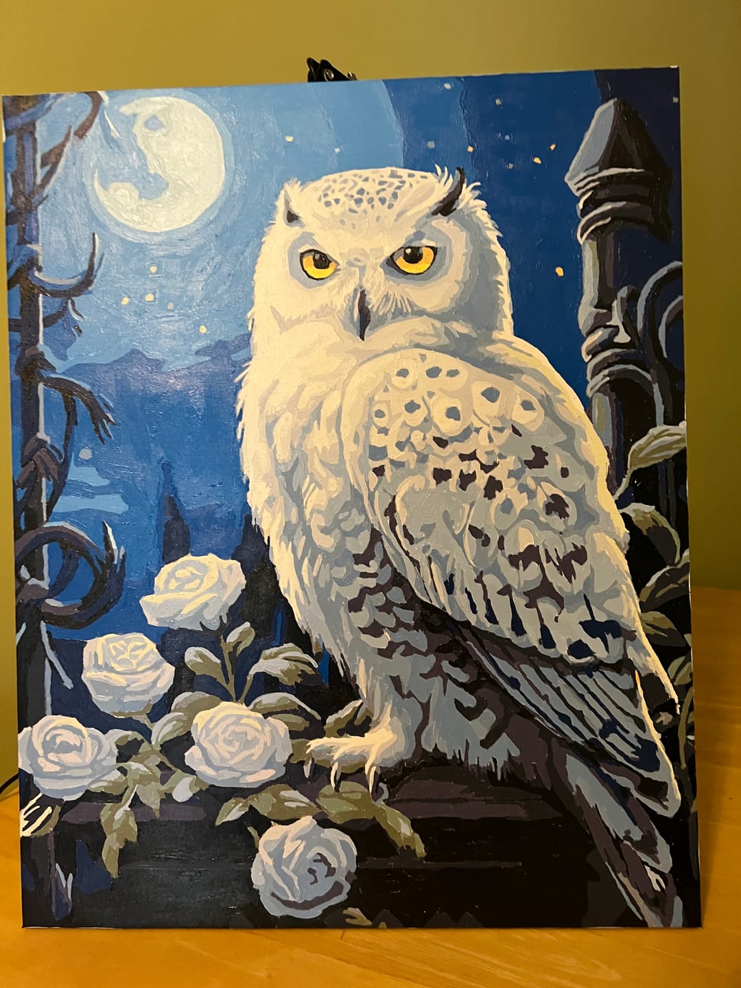Customer photo review of Snowy Owl