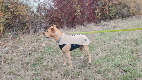 Customer photo review of Dog Fleece With Zip - Tan