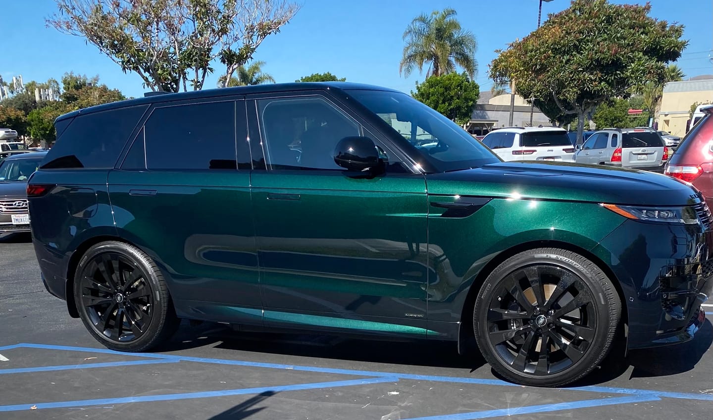 Customer photo review of Cruise - 16oz. w/ black sprayer