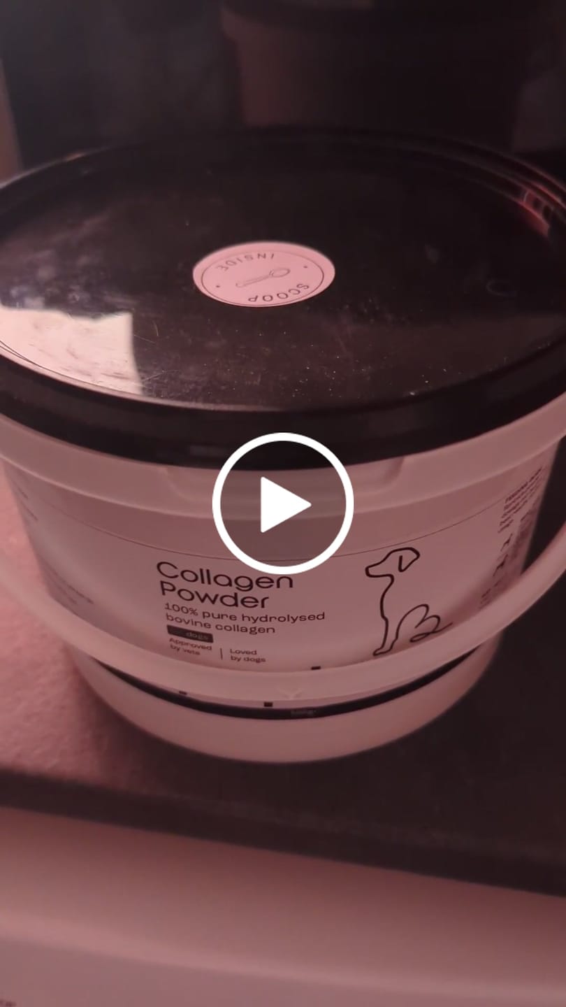 Customer video review of Collagen Powder For Dogs