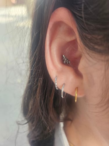 Customer photo review of Basic Hinged Segment Clicker