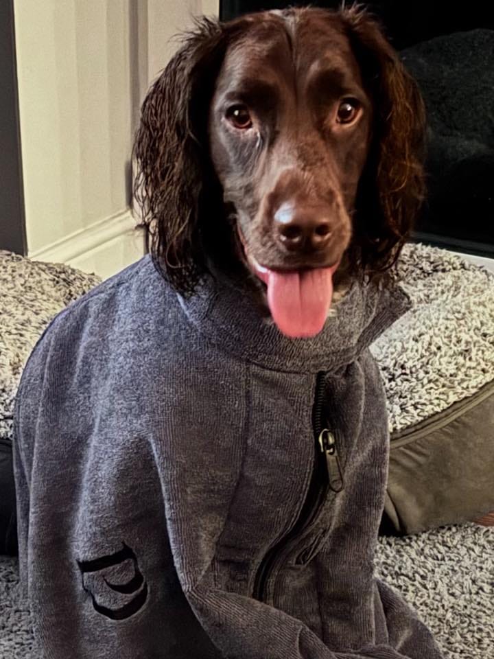 Customer photo review of Luxury Dog Drying Bag