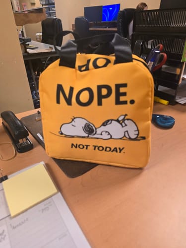 Customer photo review of Snoopy Lunch Bag