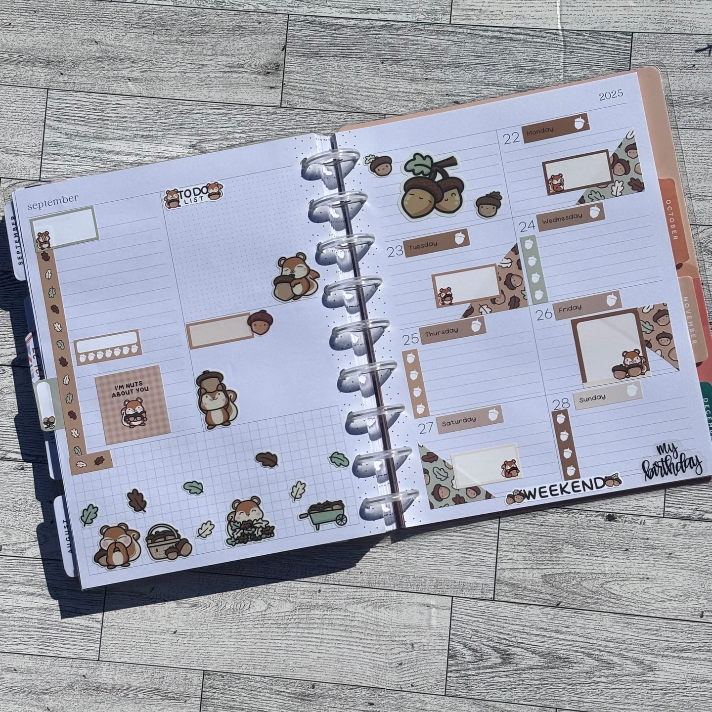 Customer photo review of Planner Subscription