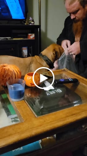 Customer video review of 2MBH Harness Exchanges