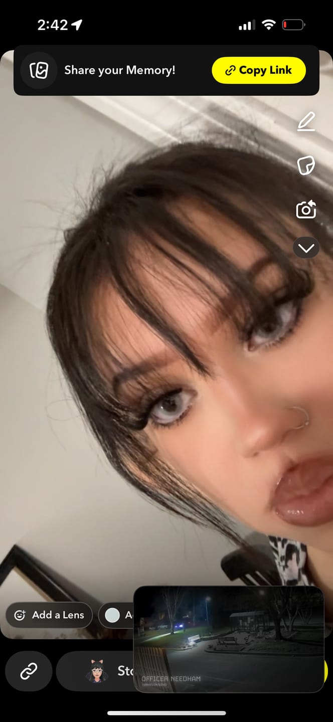 Customer photo review of FANTASY SNOW FLAKE Prescription Colored Contact Lenses
