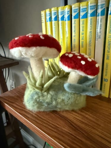 Customer photo review of Forest Toadstools Mini Needle Felting Kit