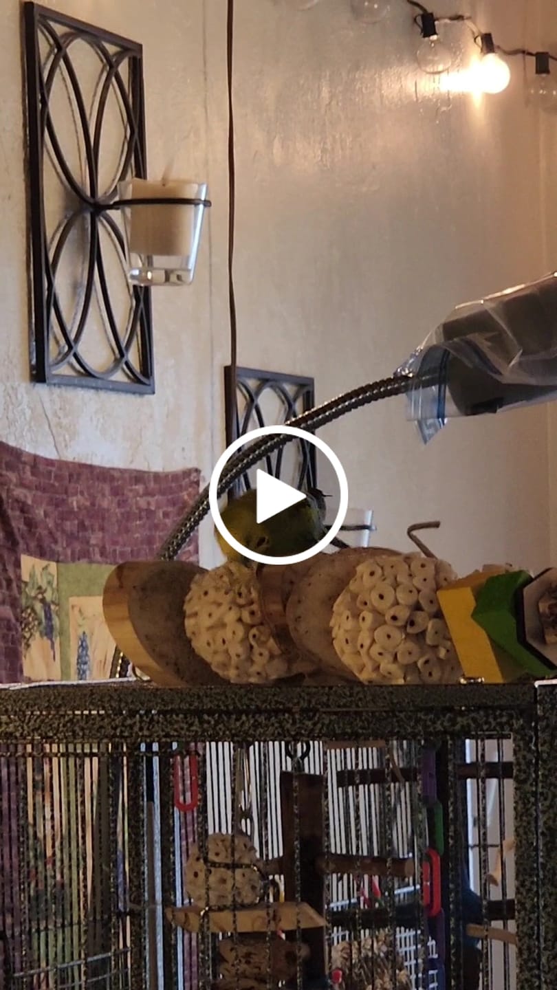 Customer video review of 3.25" Sola Atta Ball