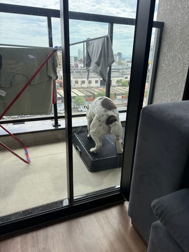 Customer photo review of Weasy Cão | Banheiro inteligente para cachorro