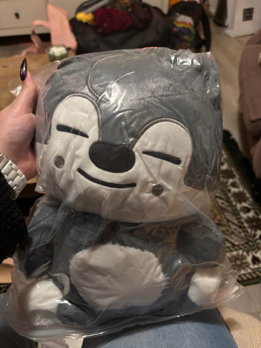 Customer photo review of SKZ Teddybear Plush