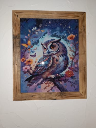 Customer photo review of 5D Diamond Painting – Eule mit Blumen