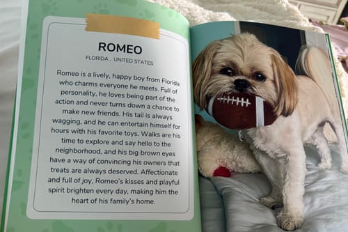 Customer photo review of Meet the Cutest Pets of Pupvote in the 2025 Photobook