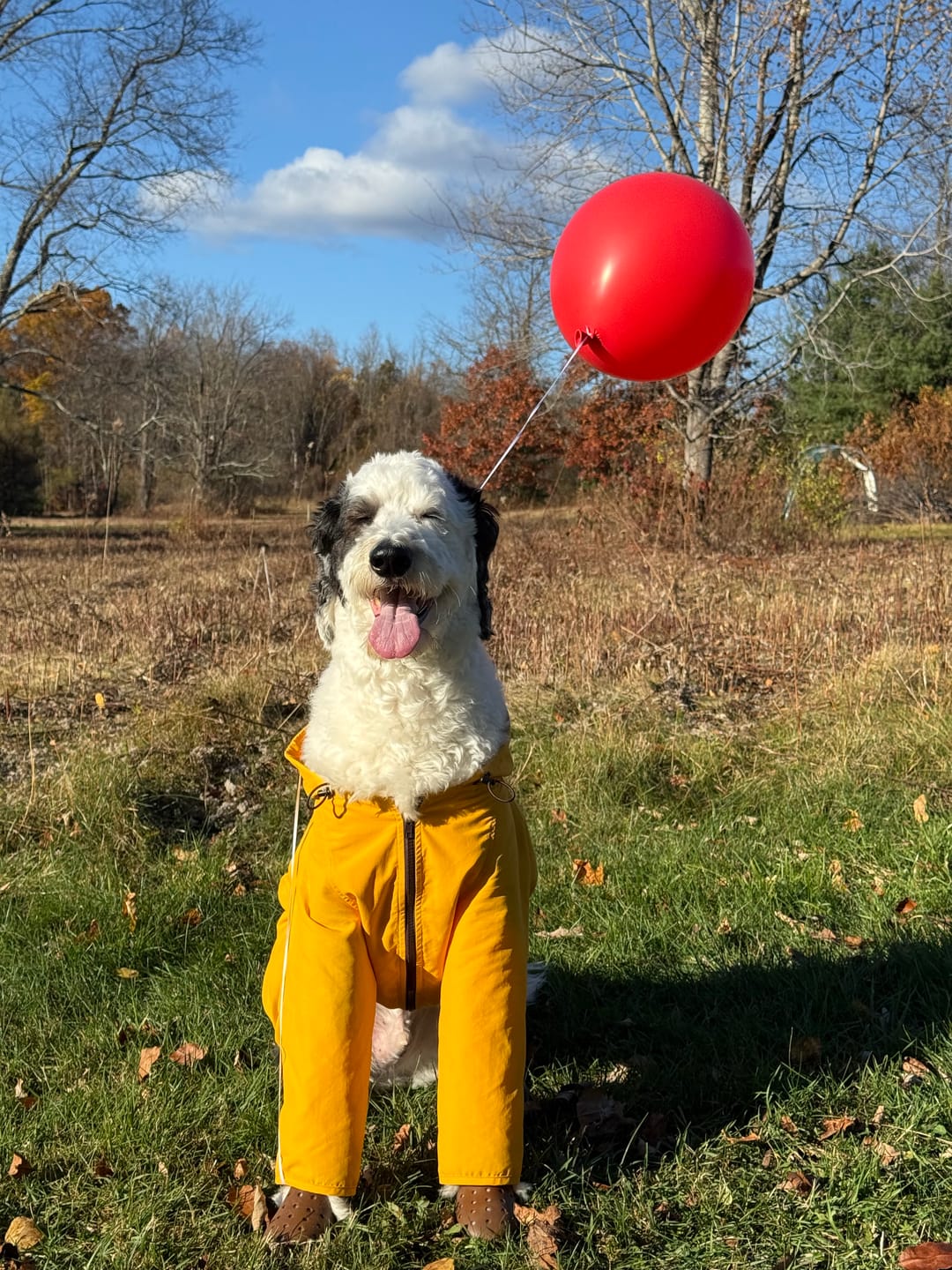 Customer photo review of Nylon Coverall