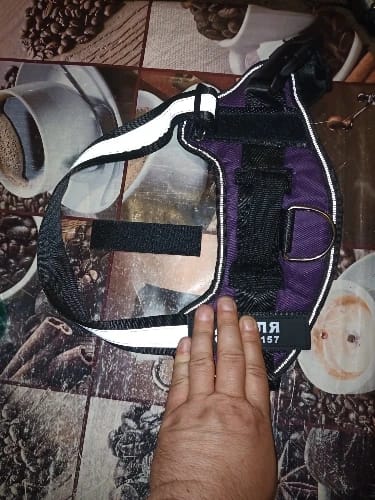 Customer photo review of EasyWalk™-רתמה מומלצת ע״י מאלפים למניעת משיכות ובריאות הכלב