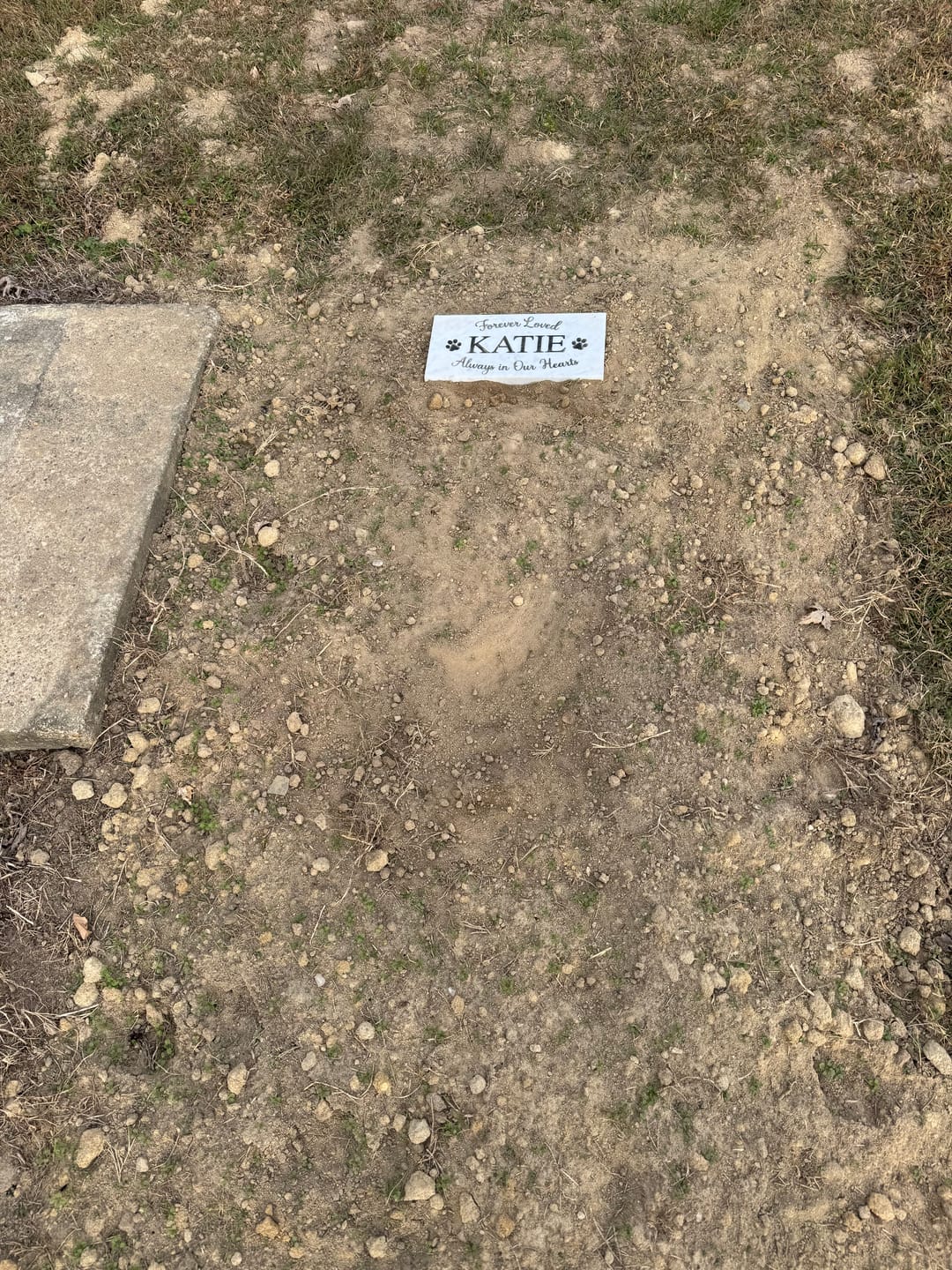 Customer photo review of Grave Marker, Pet headstones, Custom Outdoor Engraved Pet Stone In Loving Memory