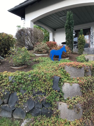 Customer photo review of Gartenstecker Esel