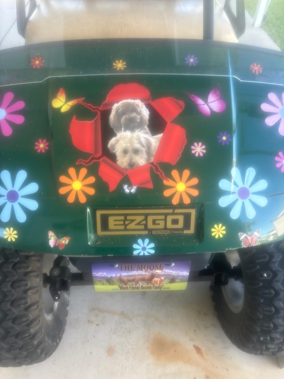 Customer photo review of Peeking photo – Personalized Car Sticker