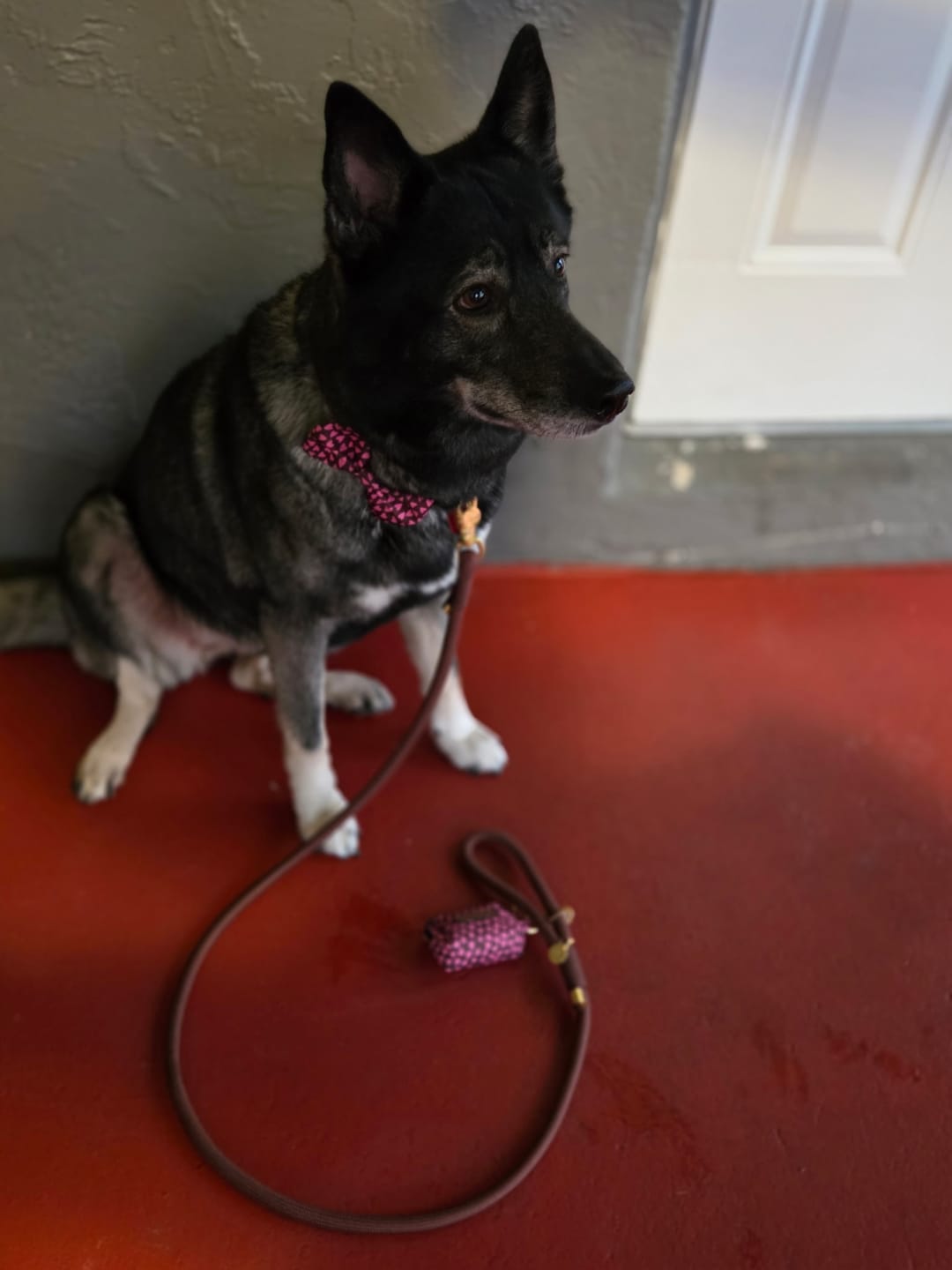 Customer photo review of Sweetheart Rope Walking Bundle