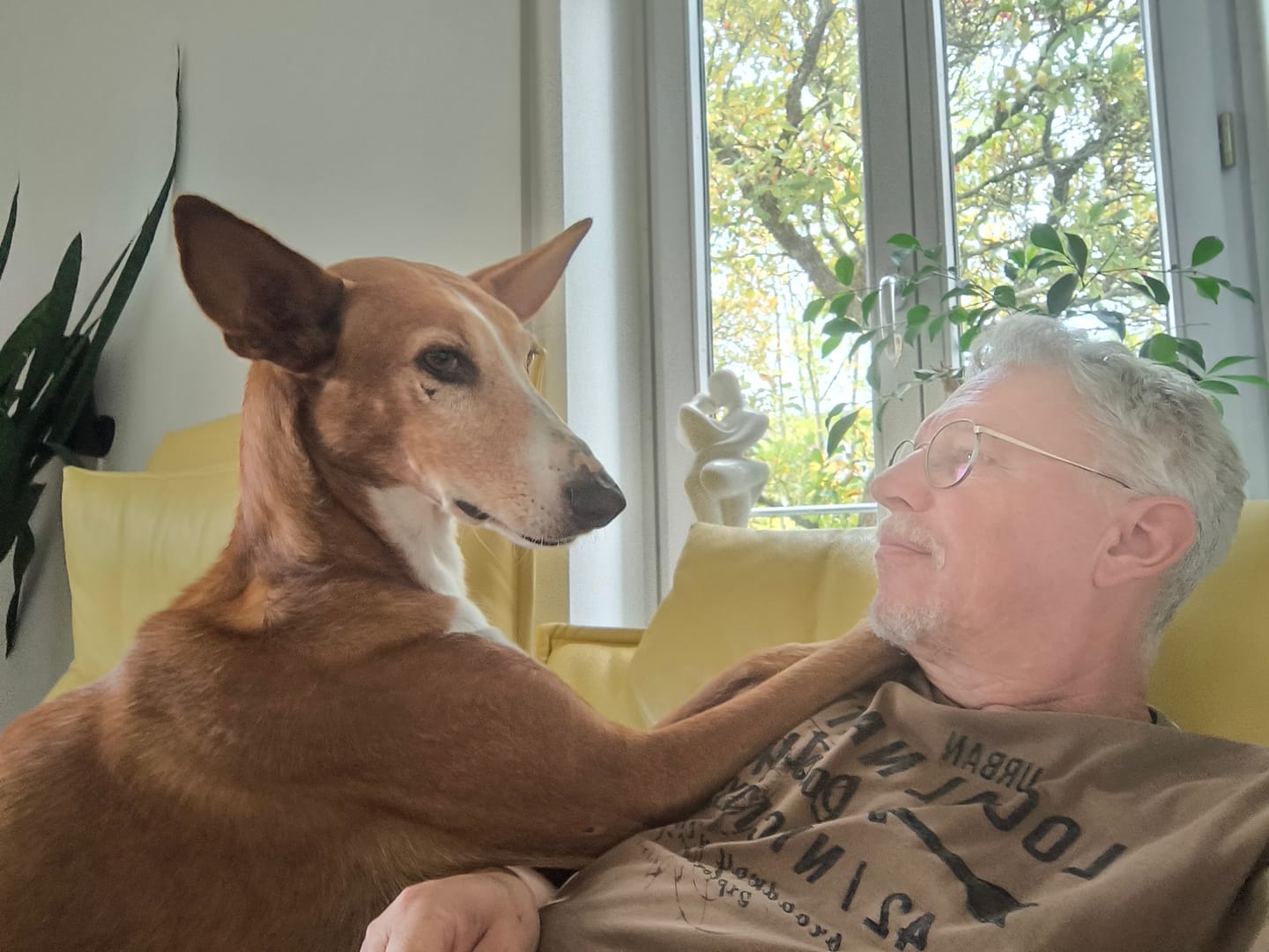 Customer photo review of Darmflora Test Basic Hund