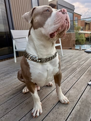 Customer photo review of Rogue Chrome Chain 32mm