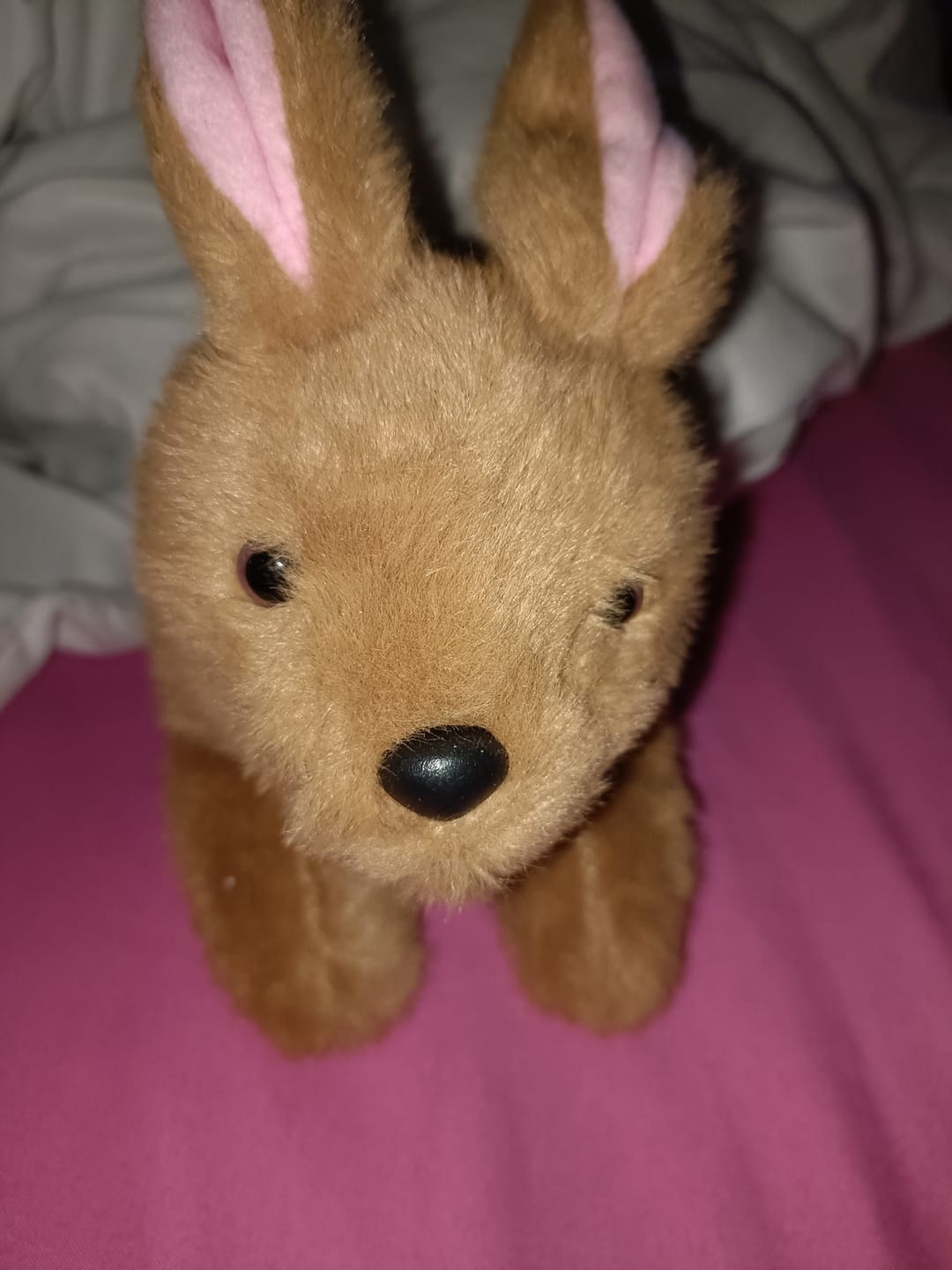 Customer photo review of Brenda the Bunny