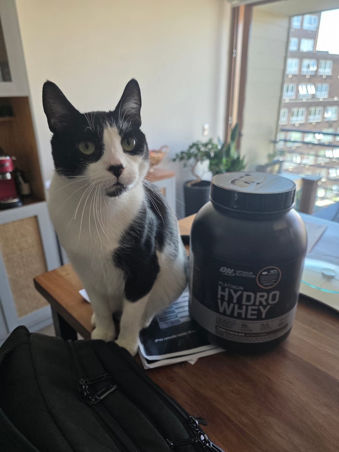 Customer photo review of Optimum Nutrition Platinum Hydrowhey Proteina Hidrolizada 40 Servicios