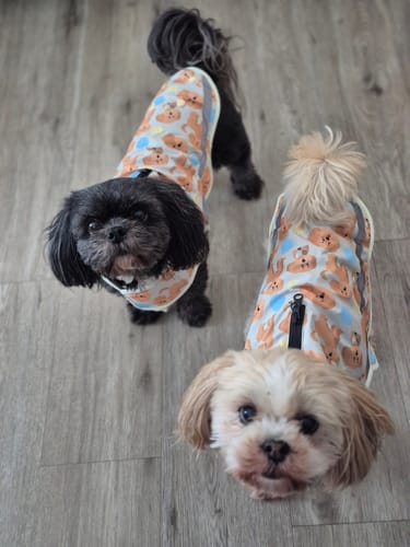 Customer photo review of Rain Jacket - Curly Club