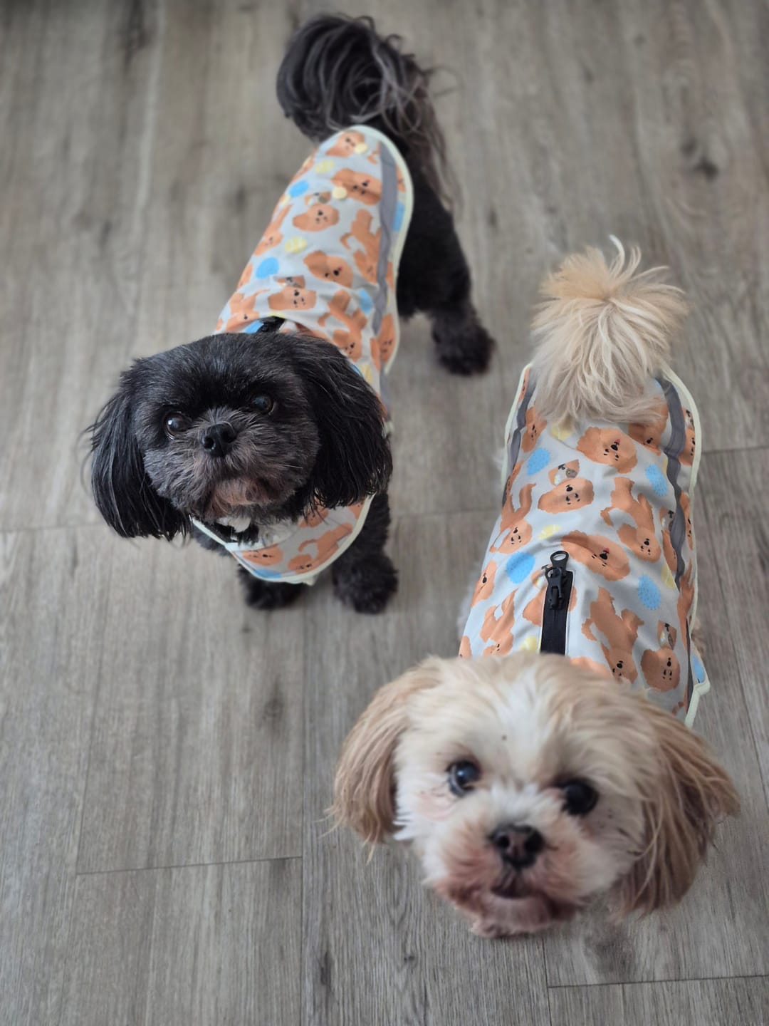 Customer photo review of Rain Jacket - Curly Club