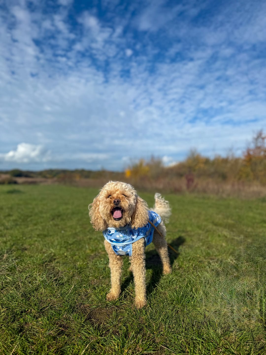 Customer photo review of Rain Jacket - Two For Joy