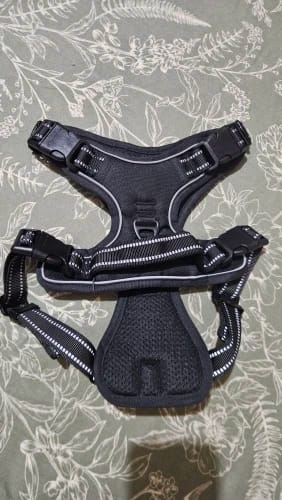 Customer photo review of EasyWalk™-רתמה מומלצת ע״י מאלפים למניעת משיכות ובריאות הכלב